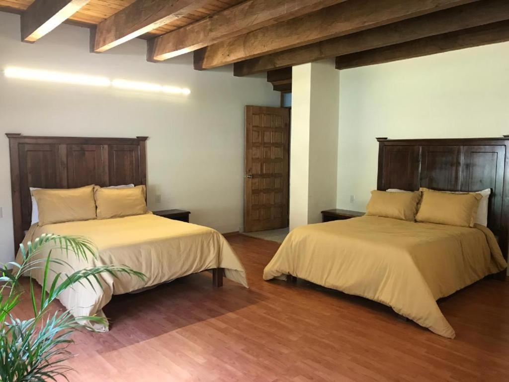 Cortijo La Casona & Bungalow Al Pie De La Montana San Cristóbal de Las Casas Buitenkant foto